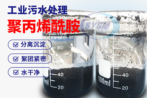 聚丙烯酰胺 聚丙烯酰胺