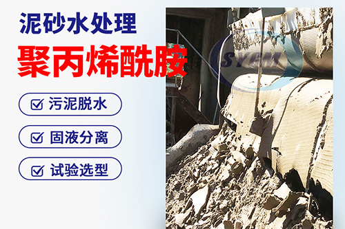 聚丙烯酰胺 聚丙烯酰胺